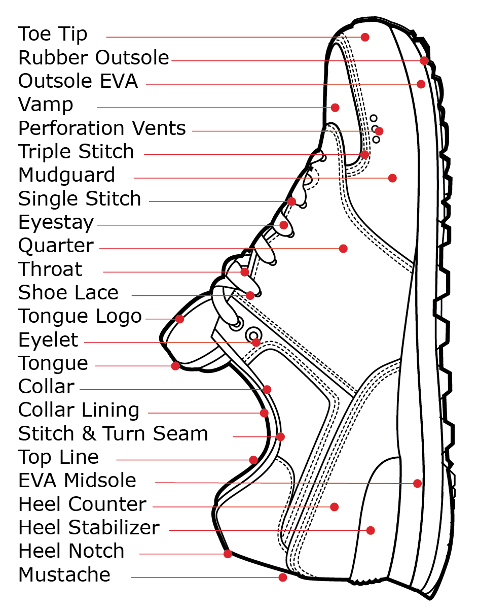 anatomy of a running shoe