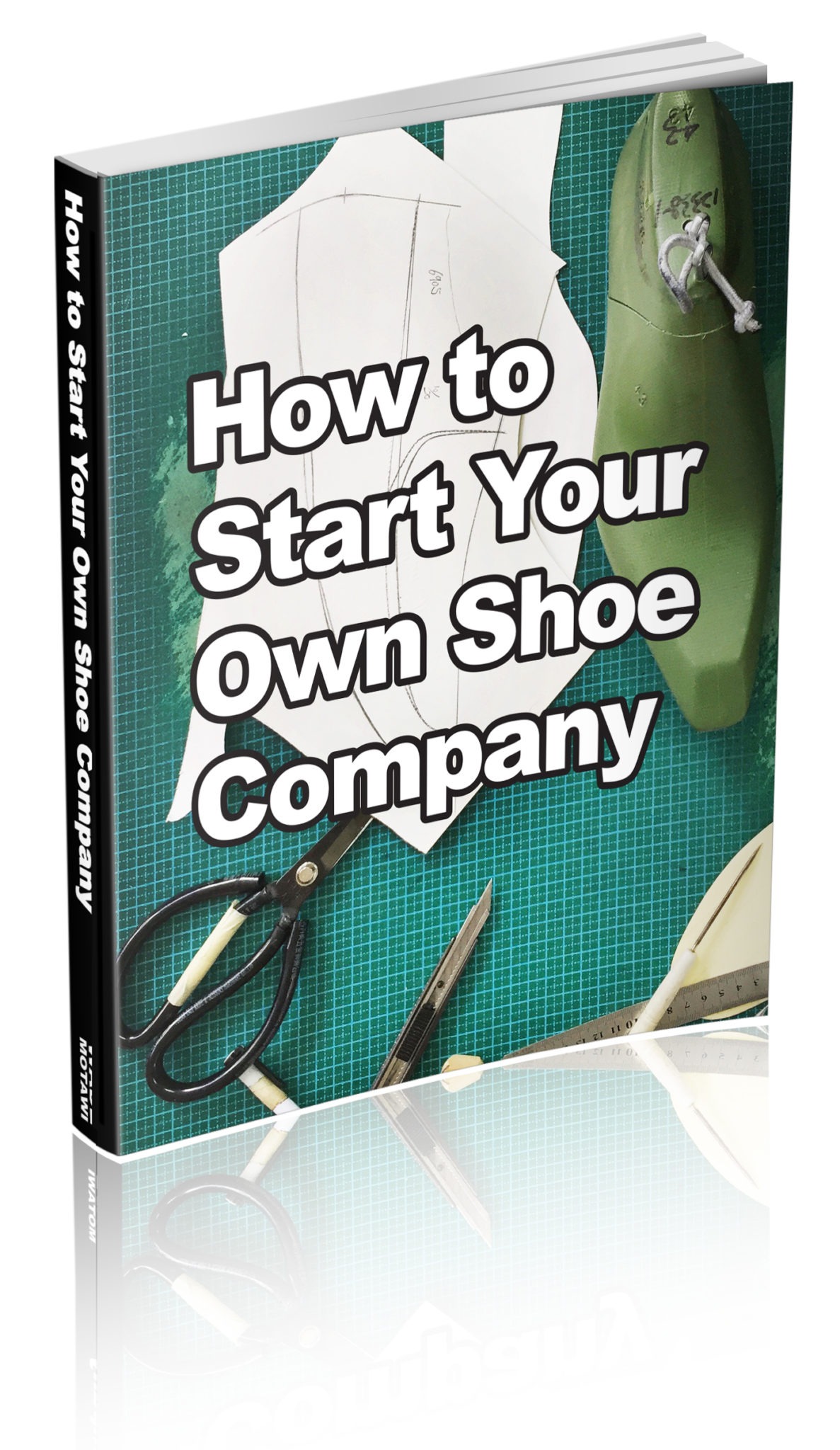 How to Start your Own Shoe Company Book