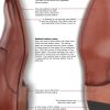Shoe Material Design Guide - Image 12