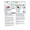Start a shoe brand and learn the footwear business process